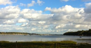 Orwell estuary