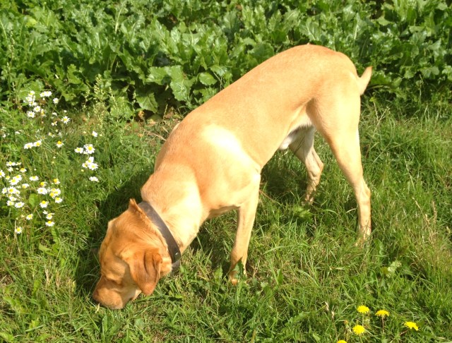 Monty explores a bit of the estate than he bargained for!