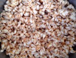Pearled spelt