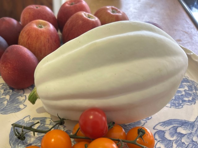 mashed potato squash